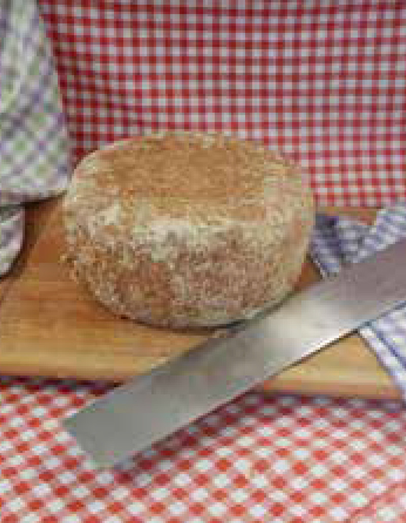 Caprino Stagionato