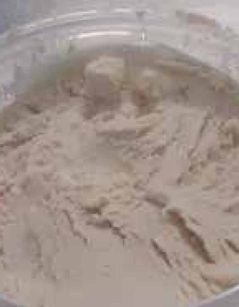 Ricotta Squam