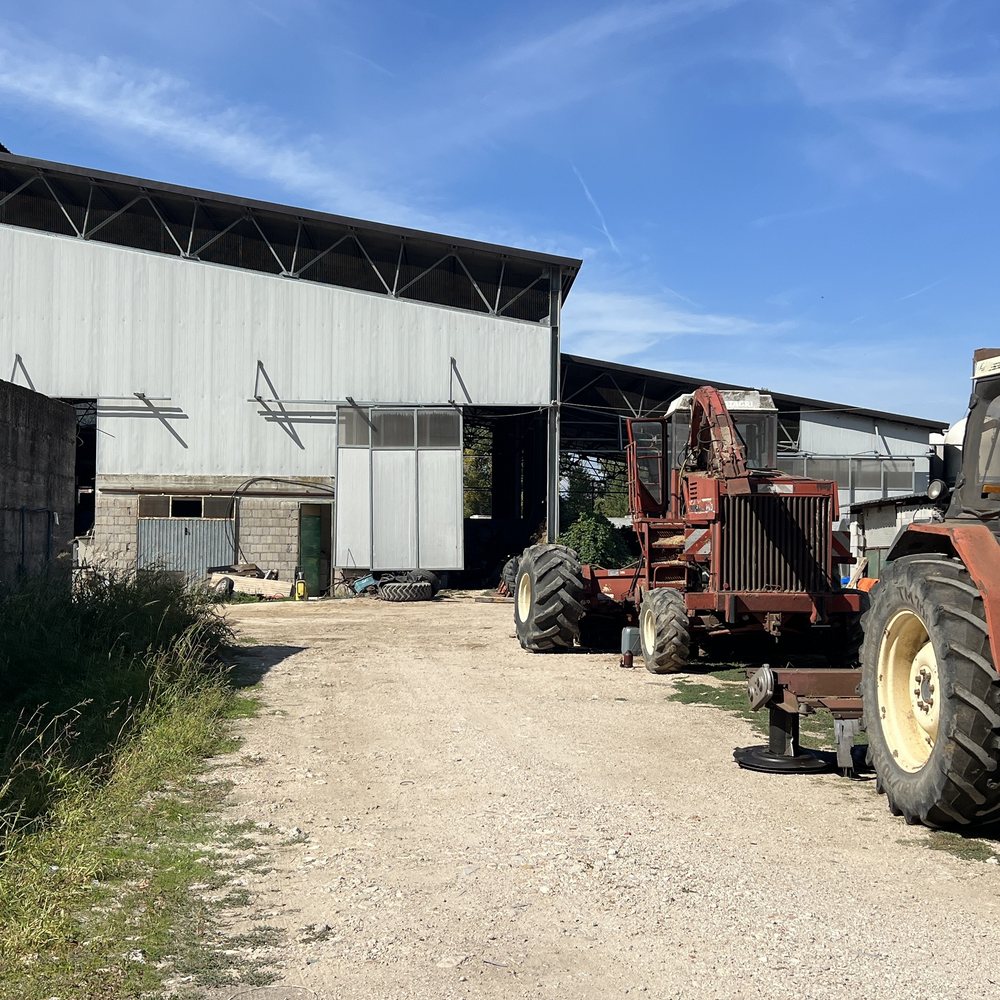 Fattoria Cannito — scena 4