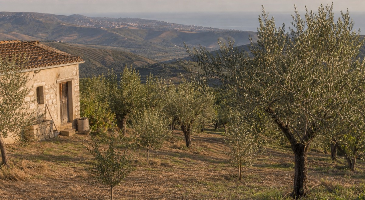 Società Agricola Ciccone