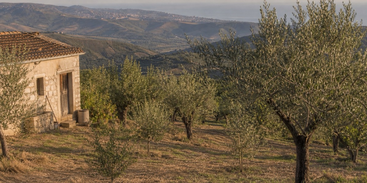 Società Agricola Ciccone 2